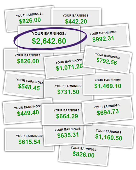 Michael Cheney Earnings